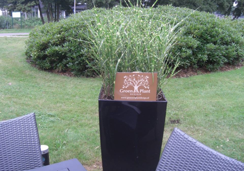 de Brugwachter terras