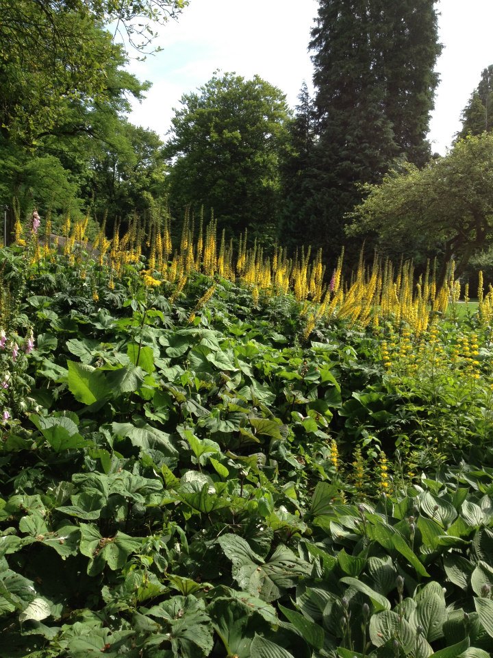 Tuin, Epe