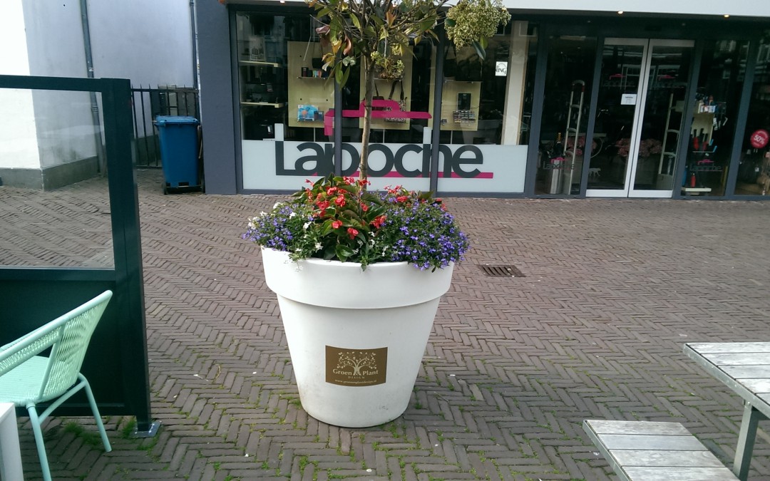 Terras Jules Verne Apeldoorn