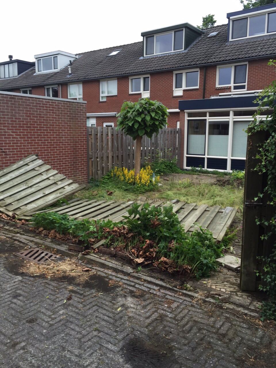 Edelenveld Apeldoorn voor