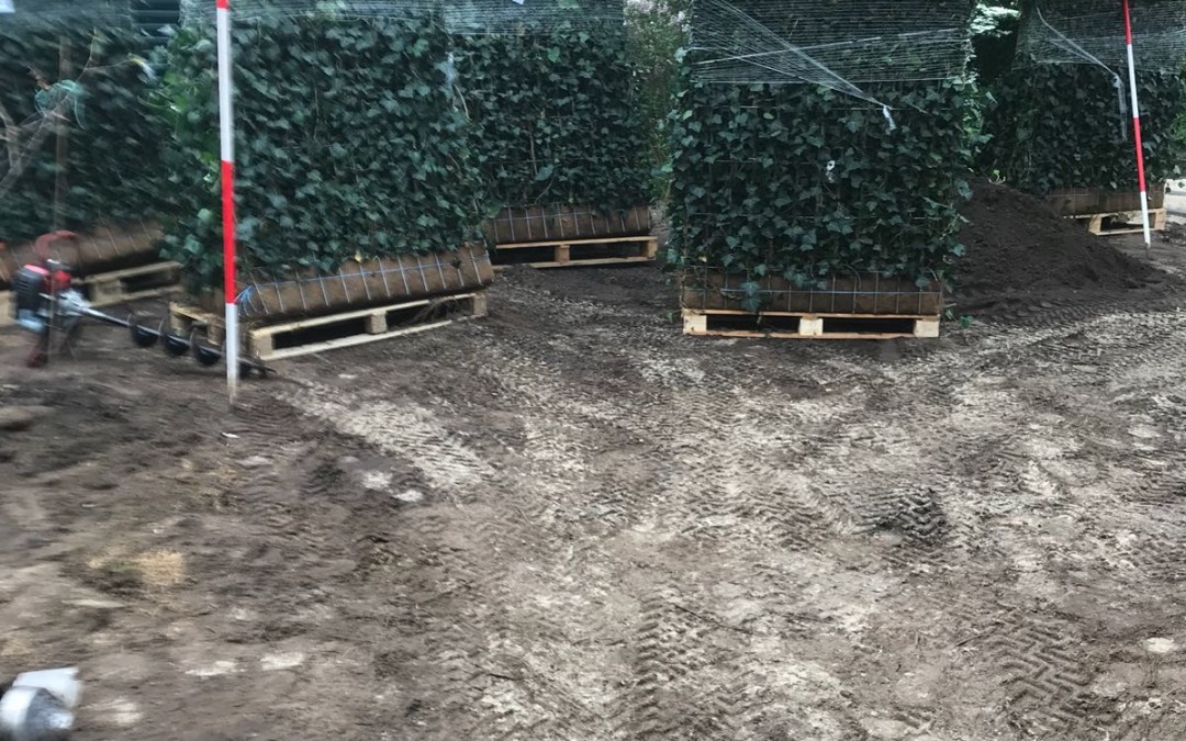 Tuin Bathmen in aanleg