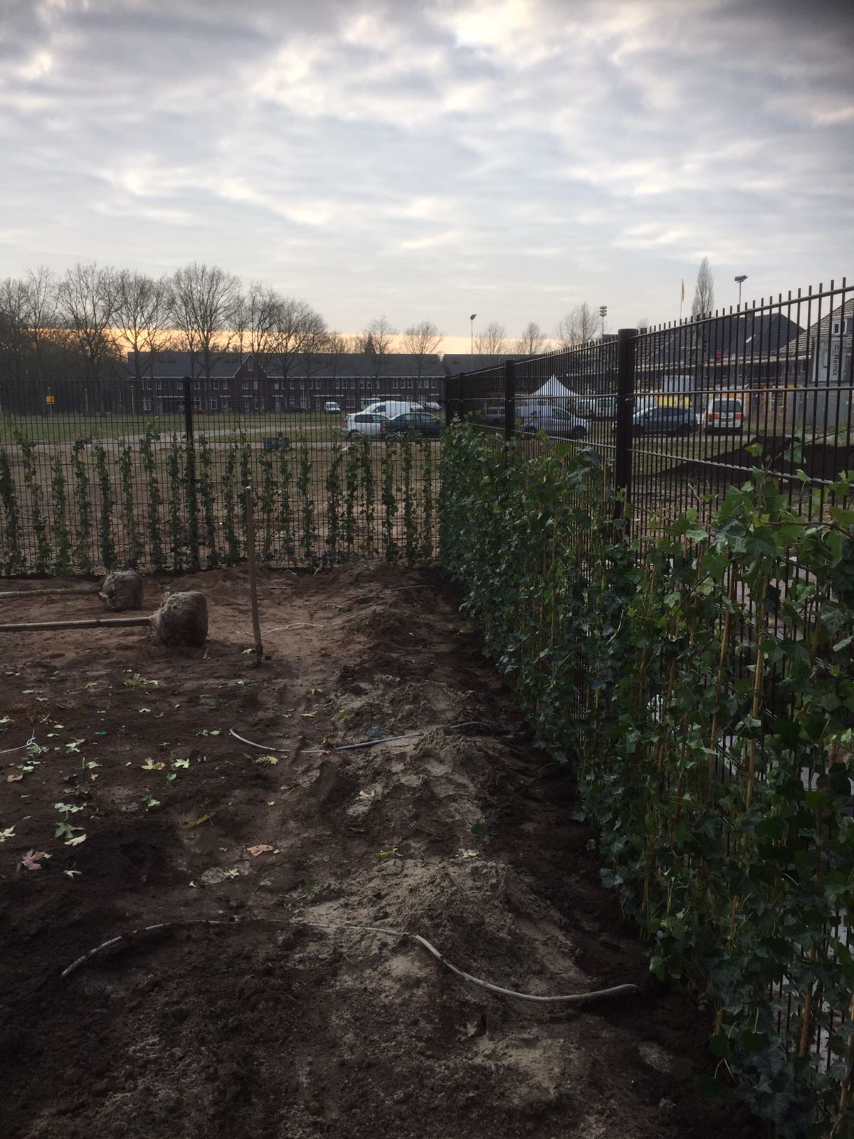 Tuin nieuwbouw Zwolle