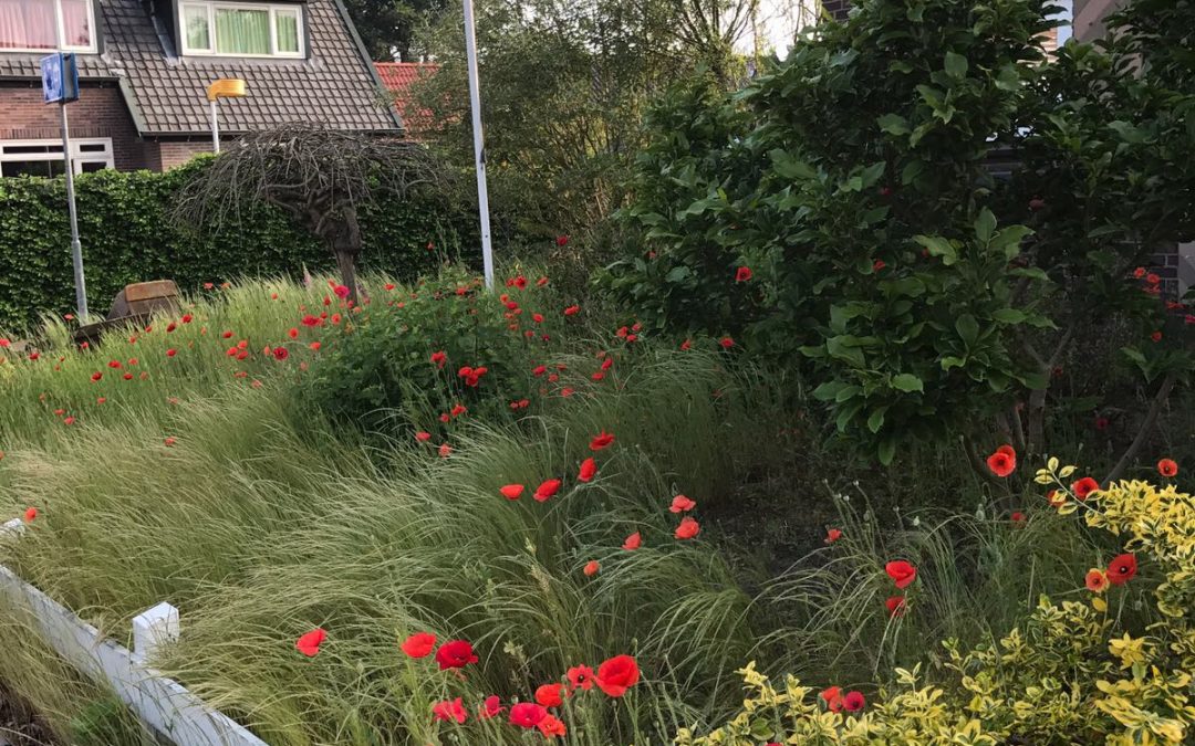 Leeg halen tuin Apeldoorn