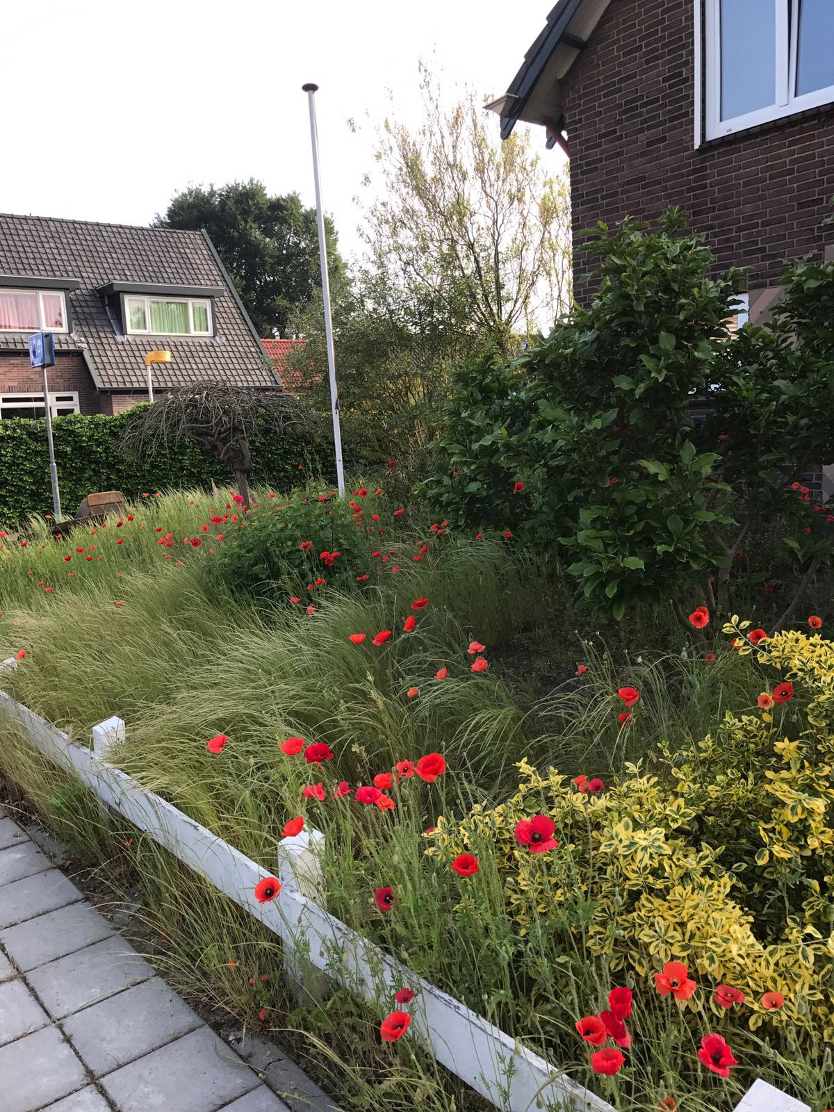 Leeg halen tuin Apeldoorn